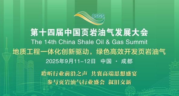 油氣發(fā)展大會(huì)